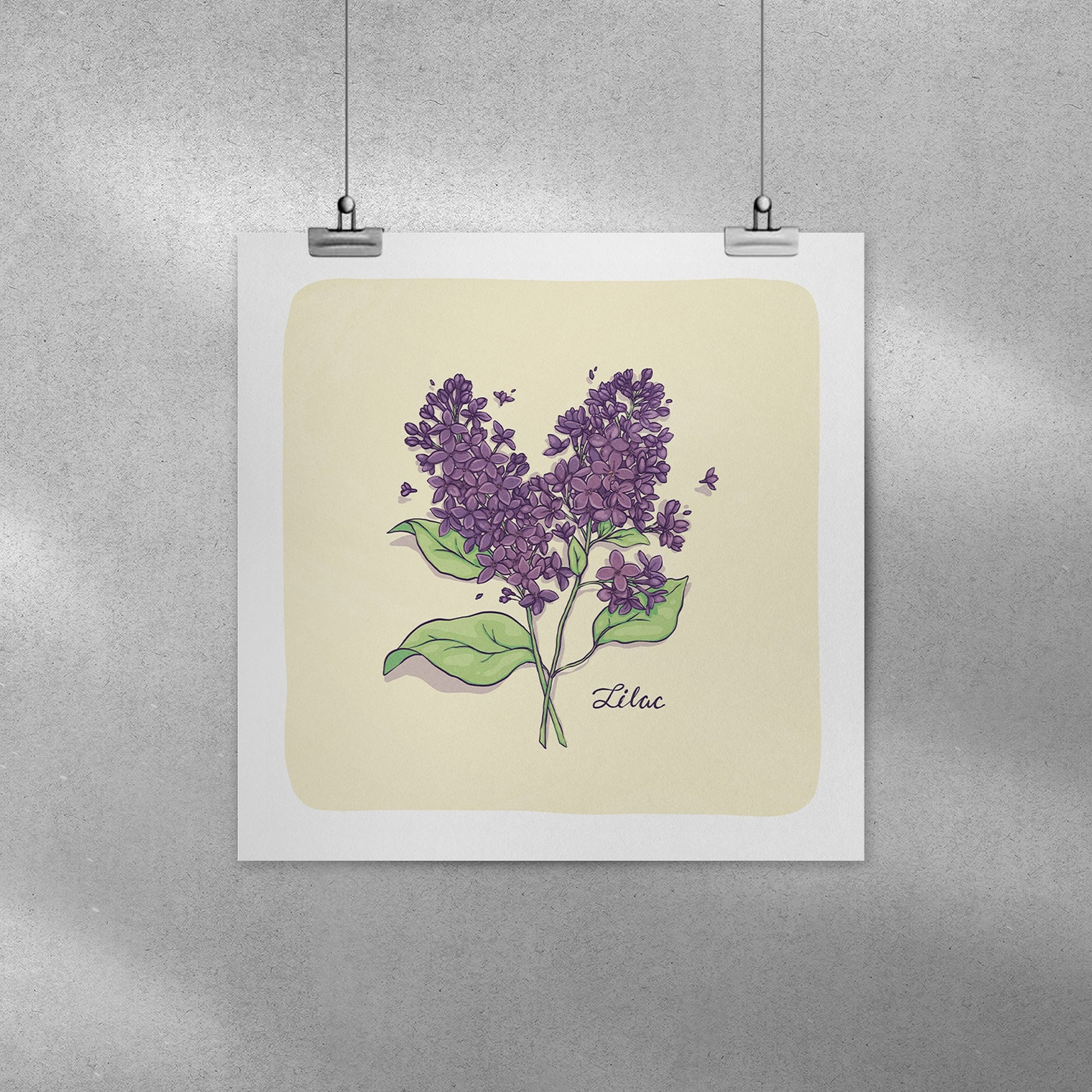 Lilac Print - 8x8 - Mad Merica Design