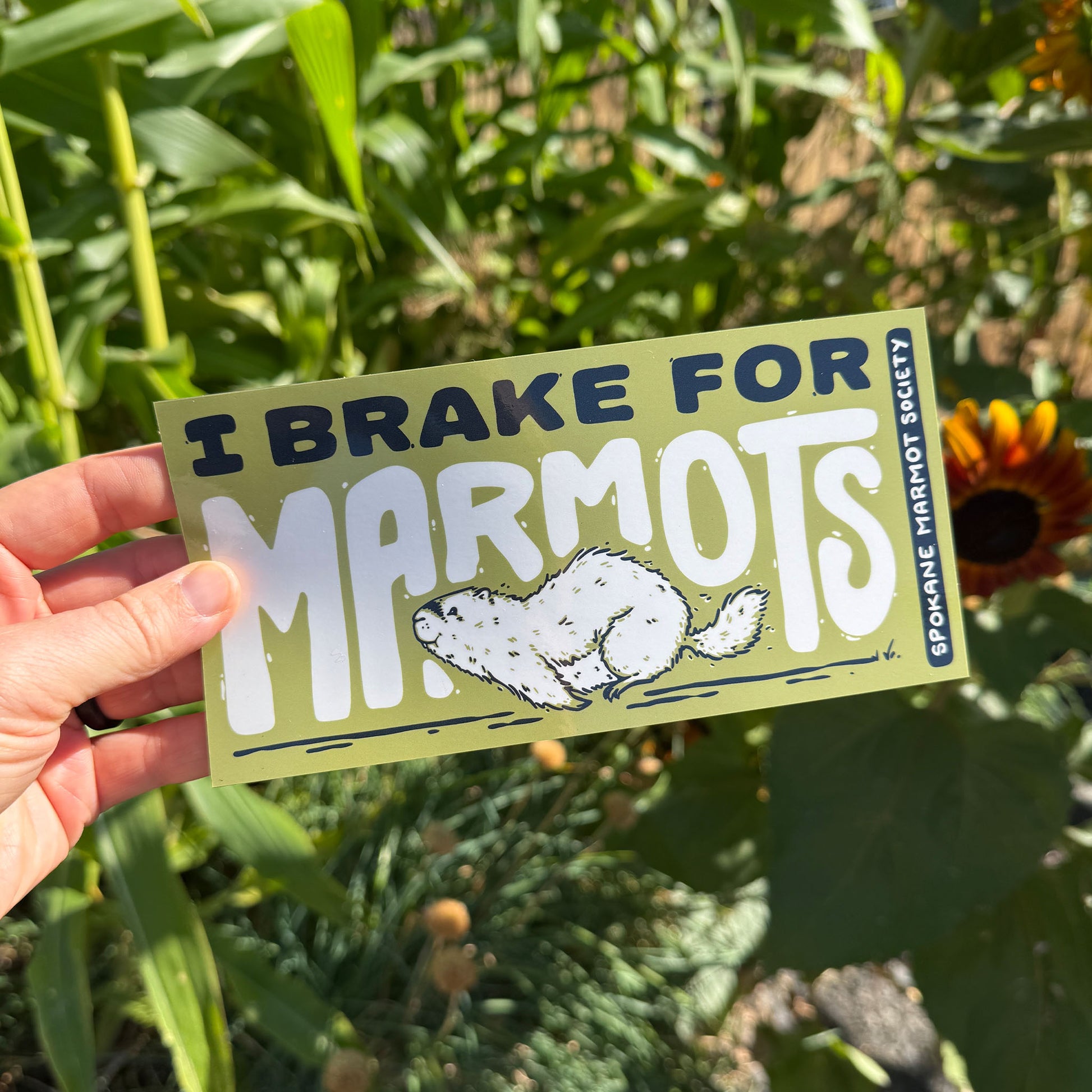 Marmot Bumper Sticker or Magnet - Mad Merica Design