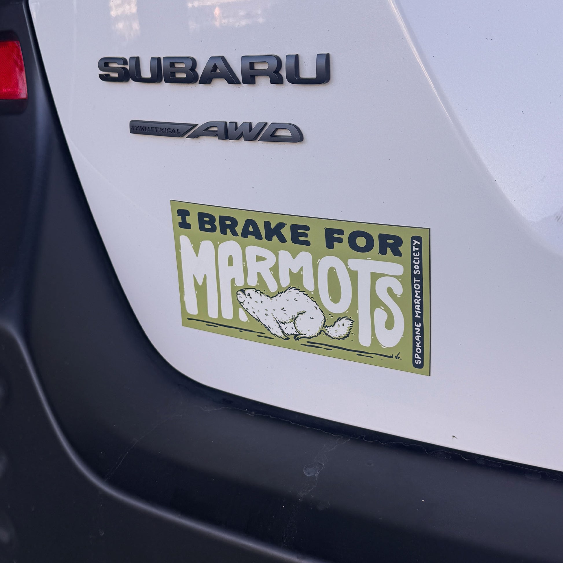 Marmot Bumper Sticker or Magnet - Mad Merica Design